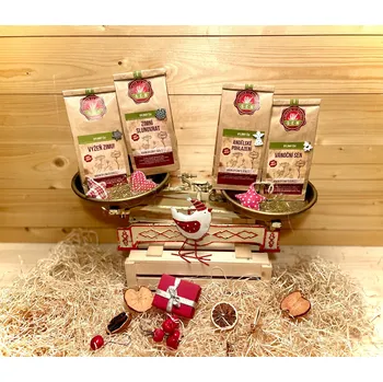 Vánoční dekorace Vánoční balíček