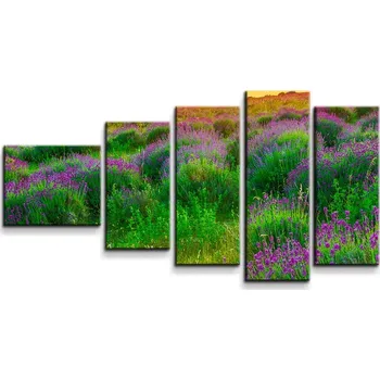 Obraz Sablio Obraz - 5-dílný Levandulové pole - 100x60 cm