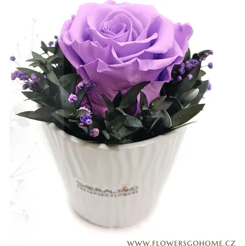 umělá květina Stabilizovaná růže Cindy Barva: Lilac