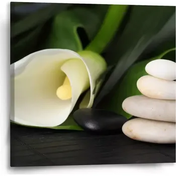 Obraz Sablio Obraz Kala - 50x50 cm