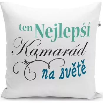 Polštář Sablio Polštář Nejlepší kamarád na světě: 40x40 cm