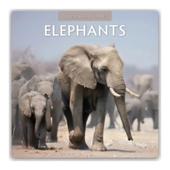 Diář Elephants - Elefanten 2026 - 16-Monatskalender (EN)