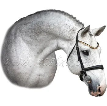 Sportovní kůň, český teplokrevník bělouš, samolepka koně