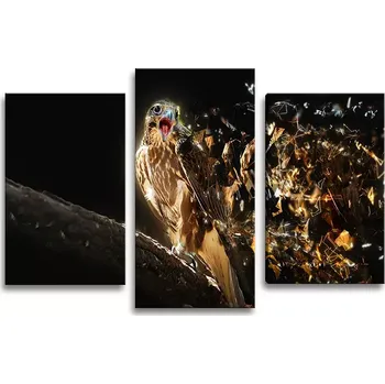 Obraz Sablio Obraz - 3-dílný Dravec - 75x50 cm