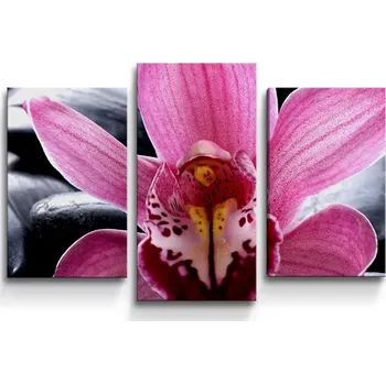 Obraz Sablio Obraz - 3-dílný Růžová orchidea - 75x50 cm