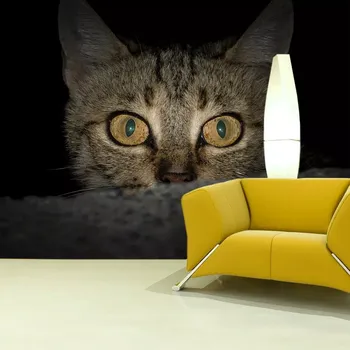 Tapeta Sablio Tapeta Kočka - 125x75 cm