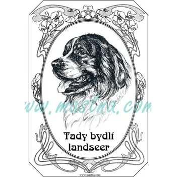Cedulka landsér, landseer ovál 2 - Bez samolepicí vrstvy