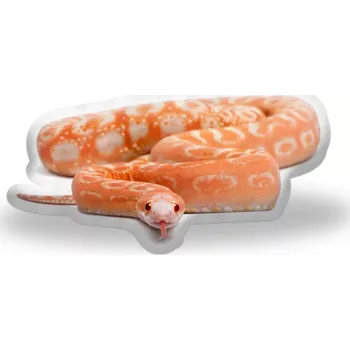 Polštář Sablio 3D polštář ve tvaru Had