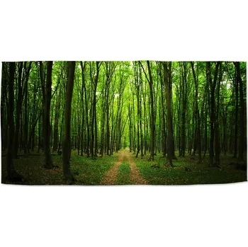 Osuška Sablio Ručník Cesta v lese - 30x50 cm