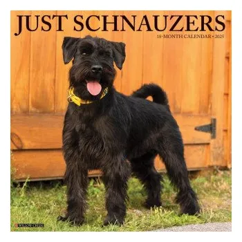 Kalendář Schnauzers 2026 12 X 12 Wall Calendar (EN)