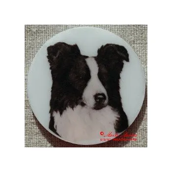 Border kolie magnet nebo placka - Magnet