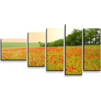 Obraz Sablio Obraz - 5-dílný Pole vlčích máků - 100x60 cm