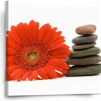 Obraz Sablio Obraz Gerbera s kameny - 110x110 cm