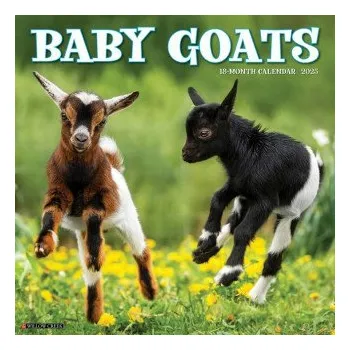 Kalendář Baby Goats 2026 12 X 12 Wall Calendar (EN)