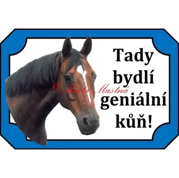 Cedulka kůň, koně, teplokrevník geniální - Bez samolepicí vrstvy