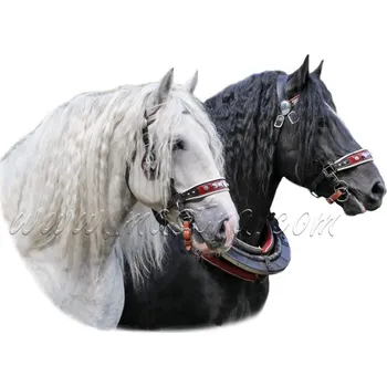 Chladnokrevníci, belgici, samolepka koně, hlavy Agy a Barbar