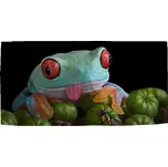 Sablio Ručník Veselá žába - 30x50 cm