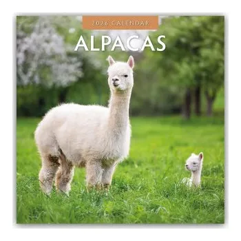 Diář Alpacas - Alpakas 2026 - 16-Monatskalender (DE)
