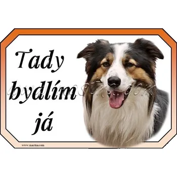 Cedulka border kolie trikolor 3 - Bez samolepicí vrstvy