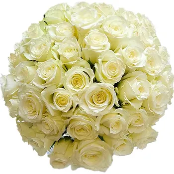 umělá květina Rozvoz květin - 60 bílých růží 40cm