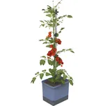 Gusta Garden TOM TOMATO Standard samozavlažovací truhlík, modrý