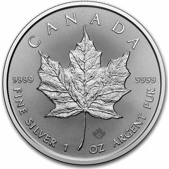 Stříbrná mince Maple Leaf 1 oz 2026