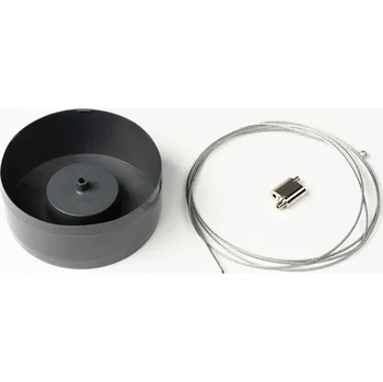 Sazenice Gusta Garden SISSI STRAWBERRY sada na zavěšení