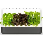 Click and Grow Smart Garden 9 chytrý květináč + 9ks kapslí se semínky, šedý, doprava ZDARMA!