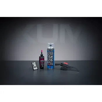 Olejnička Sada na údržbu III