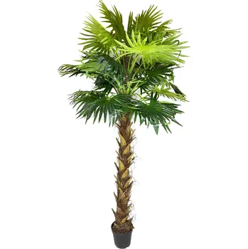 umělá květina Palma Washingtonia 240 cm v květináči