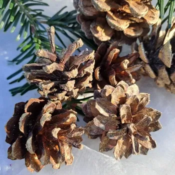 Vánoce Šiška borová zlatá glitr