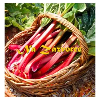 Sazenice Rebarbora Reveň (Rheum rhabarbarum ´Glaskins Perpetual´)