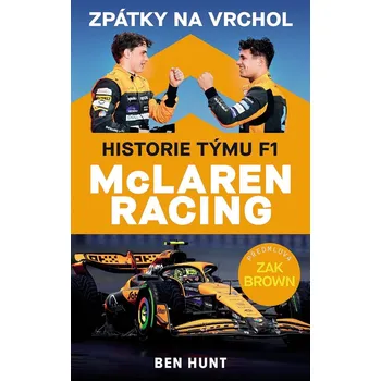 Zpátky na vrchol - Ben W. Hunt (E-Kniha)