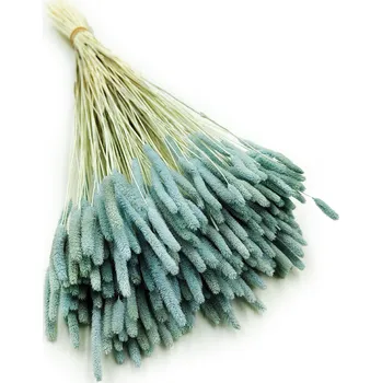 mech-mech.cz Sušený Bojínek luční - Mátový