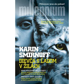 Kniha Dievča s ľadom v žilách - Karin Smirnoff (E-Kniha)