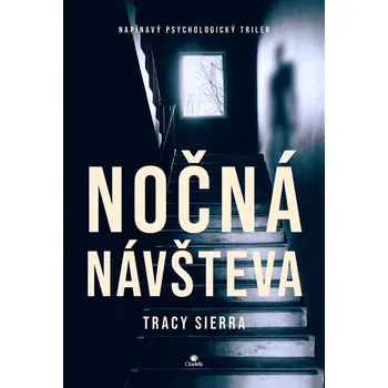 Kniha Nočná návšteva - Tracy Sierra (E-Kniha)
