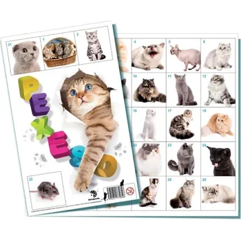 Karetní hra Pexeso Kočky společenská hra 32 obrázkových dvojic