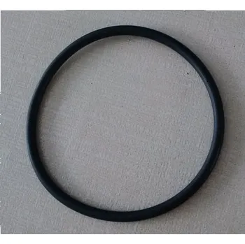 Poolservis Těsnění - o-kroužek do ventilu 5x47mm