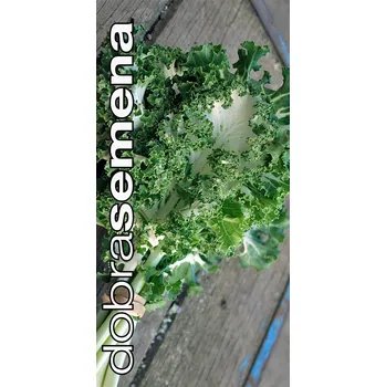 Semeno EMERALD ICE F1 - 20 s