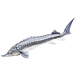 Gaby plyšová ryba Vyza velká 140cm