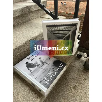 Umění Brno a jeho historie objektivem fotografů : Budík, Sandalo (akční tématický balíček) - kolektiv