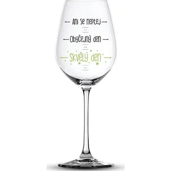 Víno Vtipná sklenice na víno Ani se neptej…