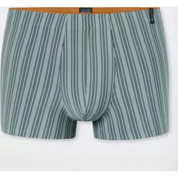 Pánské spodní prádlo Slipy Schiesser Boxerky 183146 Zelená 709 M Zelená