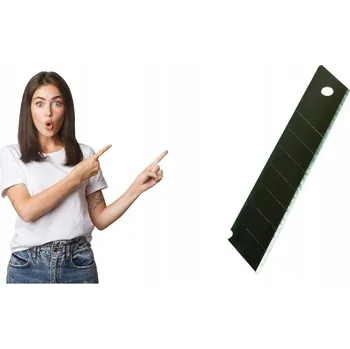 Pracovní nůž Čepele pro balicí nůž DONAU Professional, 18 x 100 mm, 10 Ks.