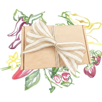 Dárkový potravinový koš Dárkový balíček semen chilli - sada semínek