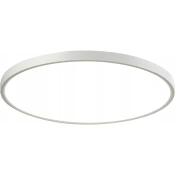 Stropní svítidlo stropní svítidlo bílé do předsíně, obýváku, ložnice CALVI LED 48 cm