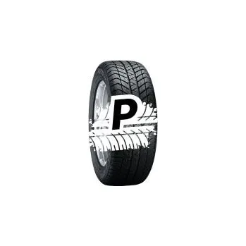 PLATIN RP-70-WINTER 245/45 R19 102V XL FR M+S