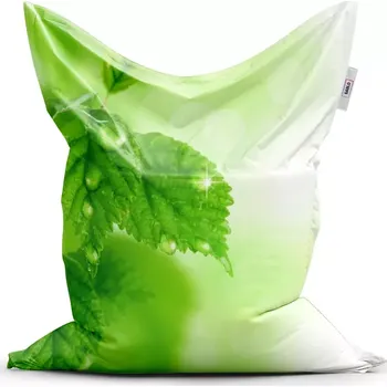 Sedací pytel Sablio Sedací vak Classic Listy 2 - 150x100 cm