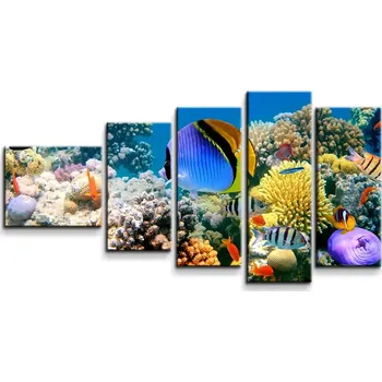 Obraz Sablio Obraz - 5-dílný Korálový útes - 100x60 cm