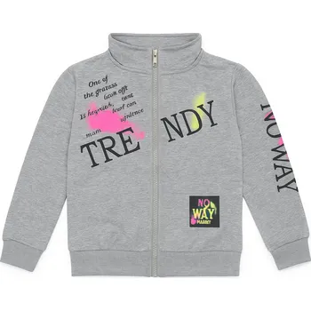 Chlapecká mikina xcena Dětské bavlněné mikiny šedé Velikost: 134